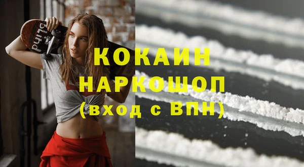 прущие грибы Рославль