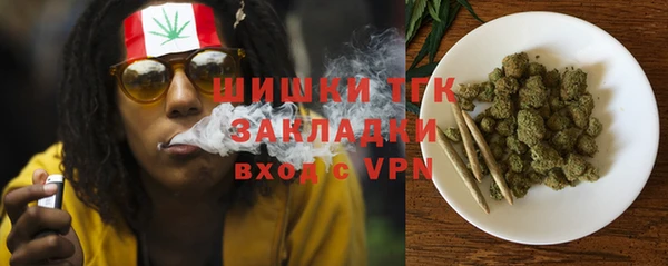 прущие грибы Рославль