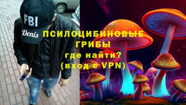 амф Россошь