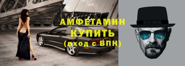 прущие грибы Рославль