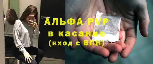 прущие грибы Рославль
