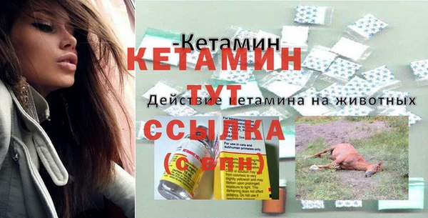 амф Россошь