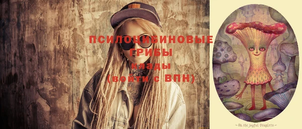 apvp Ростов