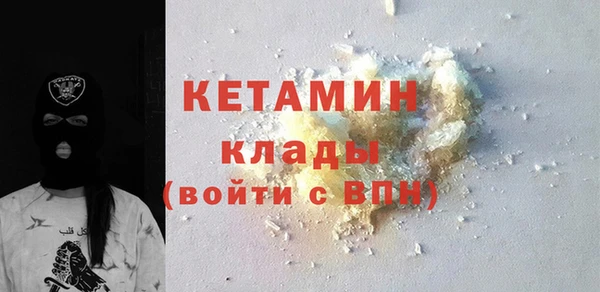 прущие грибы Рославль