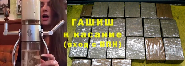 прущие грибы Рославль