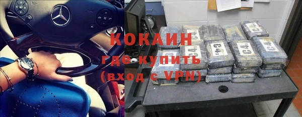 прущие грибы Рославль