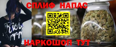 спиды Аргун