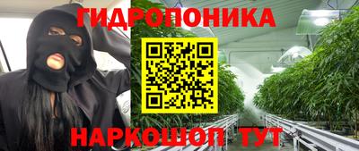 спиды Аргун