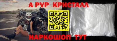 спиды Аргун