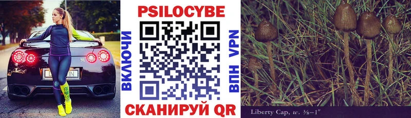 Псилоцибиновые грибы Cubensis  кракен как зайти  Ачинск  купить закладку 