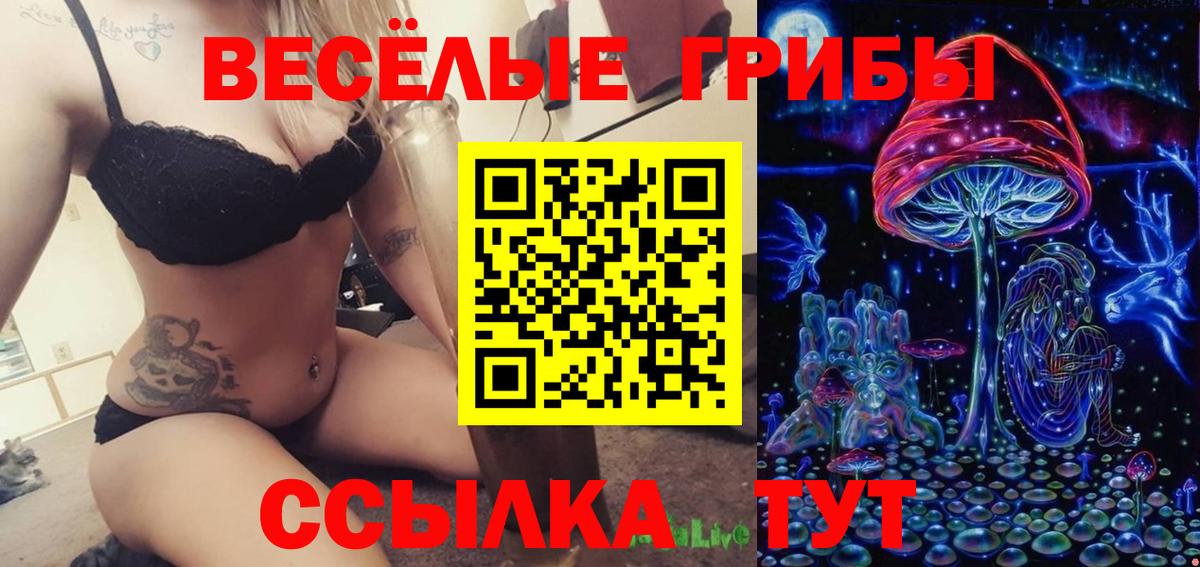 Псилоцибиновые грибы мухоморы Ачинск