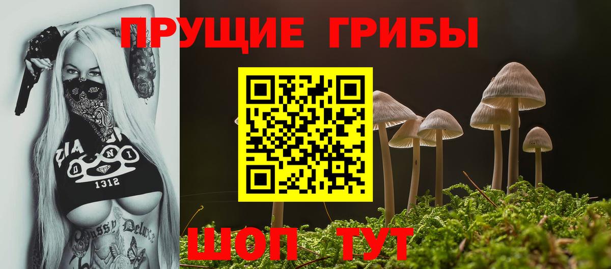 хочу   Псилоцибиновые грибы мицелий  Вход с VPN  Ачинск  Псилоцибиновые грибы прущие грибы 